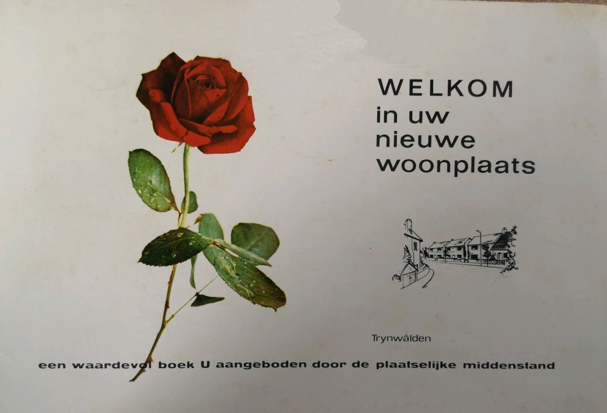 Boekje middenstand Trynwâlden